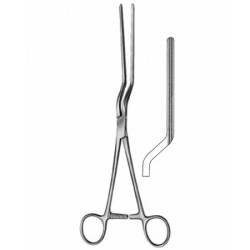 Stomach, Intes tines, Rectum